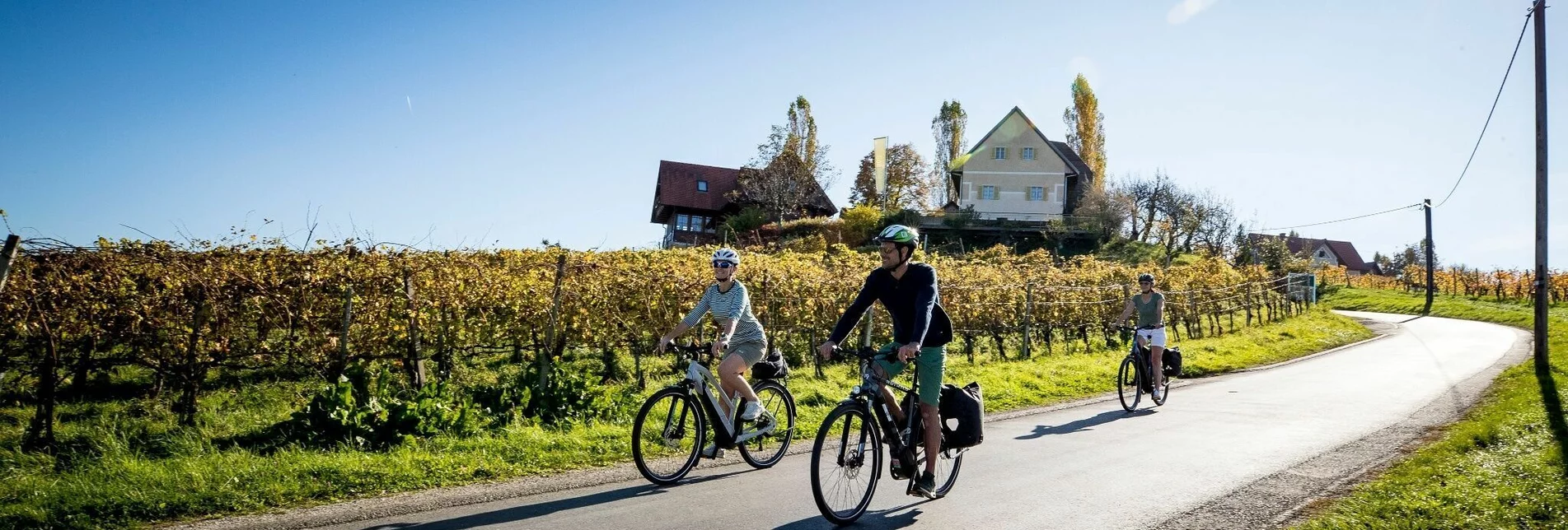 Bike Riding Cycling for pleasure - Wine Road Tour Variant 1 - "Kranachberg-Heimschuh" - Touren-Impression #1 | © Südsteiermark