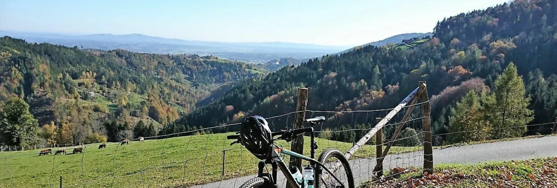 Mountainbike Bad Schwanberg-St. Anna-Wirtbartl-Tour - Touren-Impression #1 | © Südsteiermark