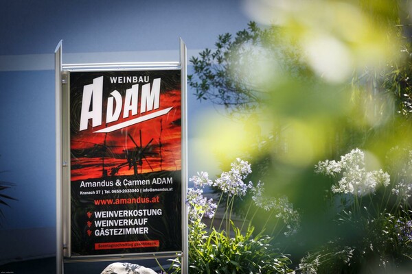 Weinbau Adam Logo | © Weinbau Adam Amandus & Carmen | Carmen Adam