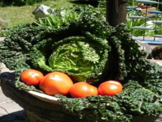 Gemüse aus dem Garten | © Himmelreichmühle