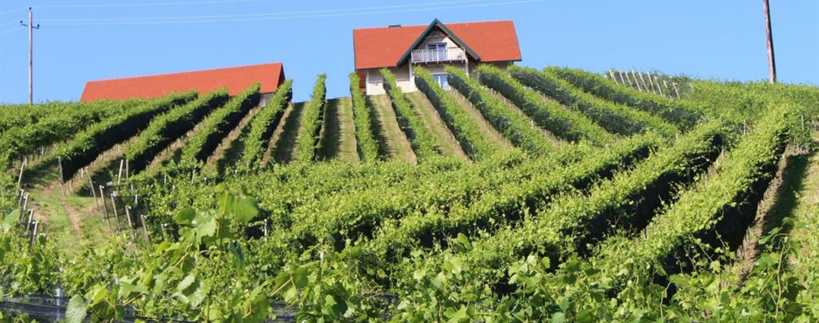 Weingartenhaus Teltscher Ansicht